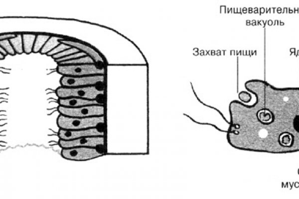 Кракен 17 вход