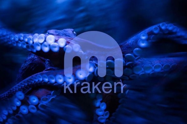 Как вывести деньги с kraken